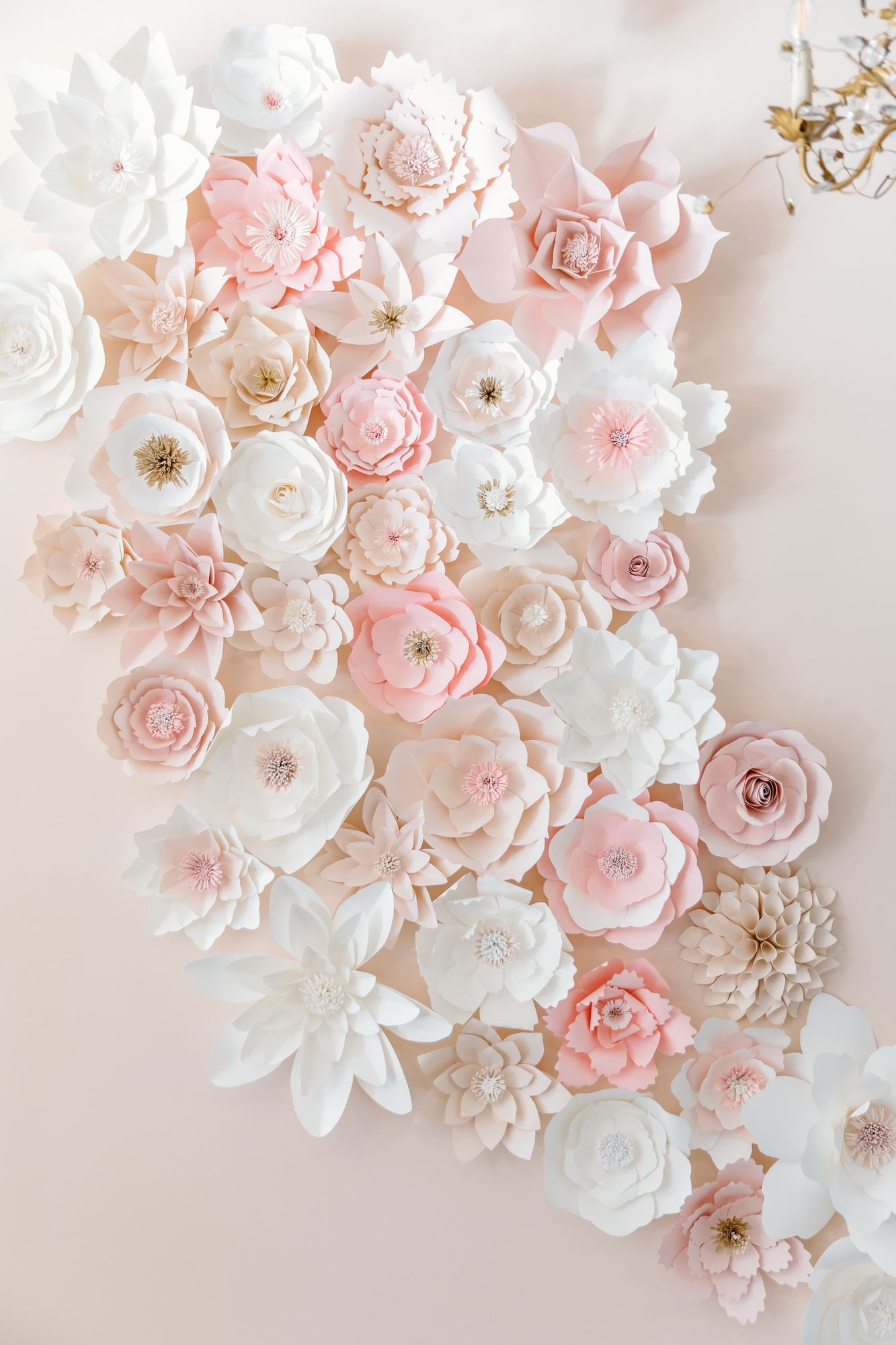 Lili Bridals bridal shop.